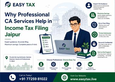 Professional CA Services Help in Income Tax Filing