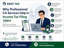 Professional CA Services Help in Income Tax Filing