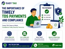 Importance of Timely TDS Payments and Compliance