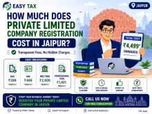 How Much Does Private Limited Company Registration Cost 