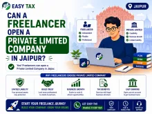 Can a Freelancer Open a Private Limited Company 