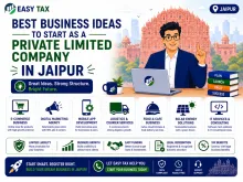 Best Business Ideas to Start as a Private Limited Company
